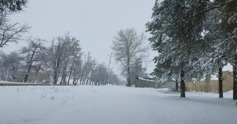 Kəlbəcər, Laçın, Daşkəsən, Gədəbəyə qar yağır FAKTİKİ HAVA