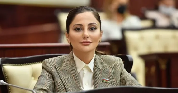 Deputat parlamentdə məktəb problemlərini qaldırdı