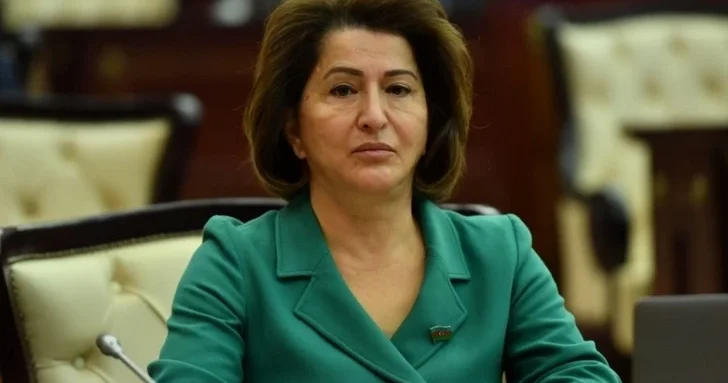 Депутат призвала включить в госбюджет на 2026 год решение водных проблем Шамахинского района