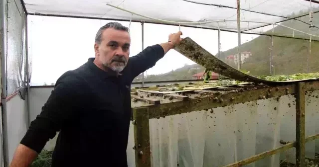 Kəşf etdiyi heyvan həyatını dəyişdi 3000 avro qazanır