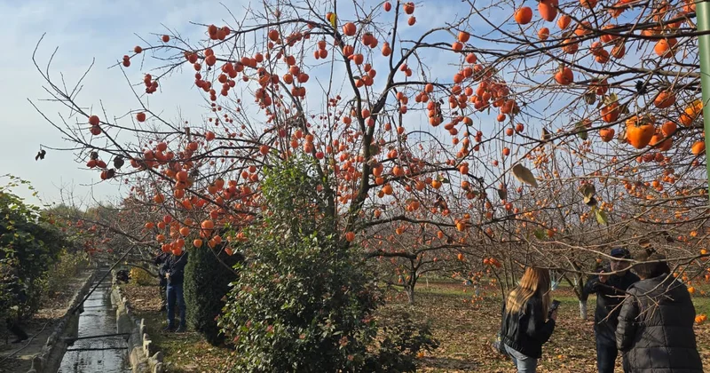 Шекинец показал, как интегрировать сельское хозяйство в туризм Minval Politika