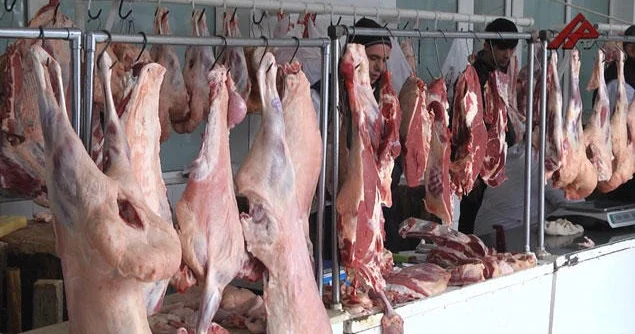 Heyvan bazarları nə vaxt açılacaq?