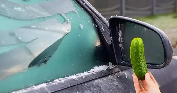 Avtomobil şüşələrindəki buzlaşmaya sadə çözüm