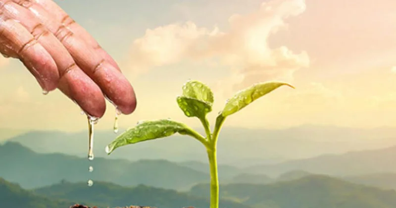 Этот город может провести XX Всемирный водный конгресс 2027 года