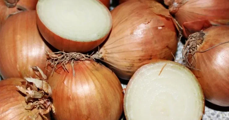 Soğan yalnız bakteriyaları məhv etmir, həm də arıqladır