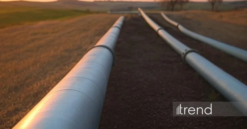 Назван объем транспортировки по магистральным нефтепроводам Азербайджана