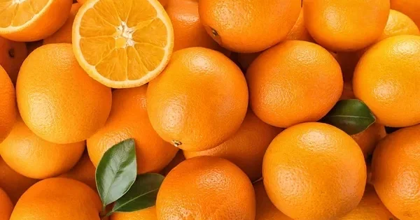 Усилен контроль за импортируемыми из Ирана апельсинами