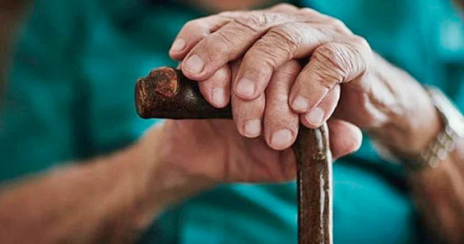 Pəhriz yaşlanmış beynin protein tarazlığını bərpa edə bilər