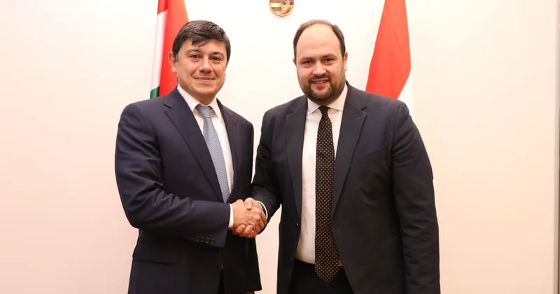 Macarıstanda diaspor sahəsində əməkdaşlıq müzakirə olundu Fotolar