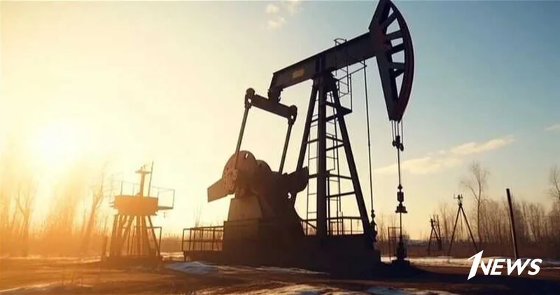 Турция резко сократила импорт российской нефти