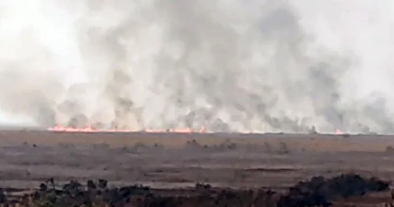 Cəlilabadda ovçuluq təsərrüfatında yanğın başlayıb FOTO