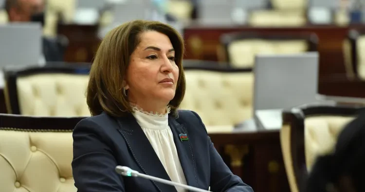 Şamaxının deputatı parlamentdə rayonun problemlərini qaldırdı: 30 a yaxın kənddə su problemi var