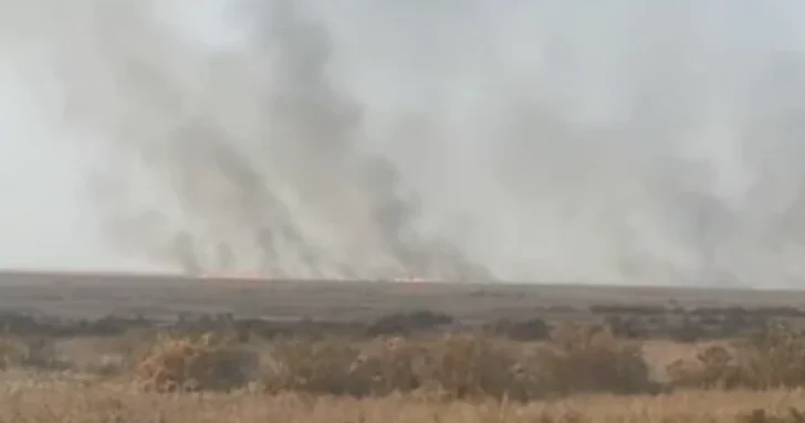 В Джалилабадском районе вспыхнул пожар