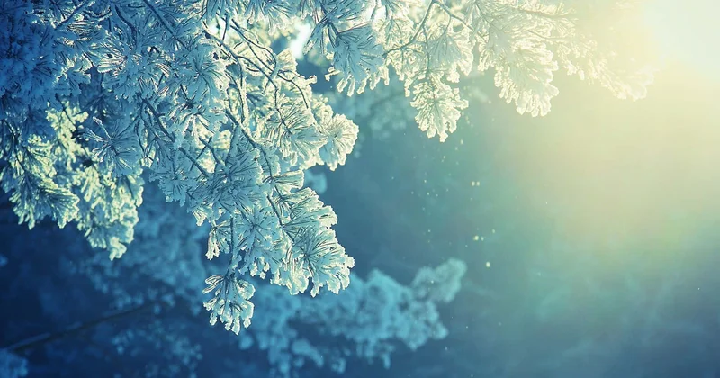 Hava kəskin DƏYİŞİR Şaxta, qara...