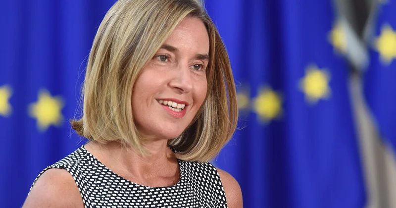 Keçmiş Aİ komissarı saxlanıldı