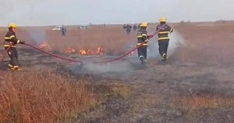 Cəlilabadda yanğın baş verib, 5 hektar ərazi yanıb