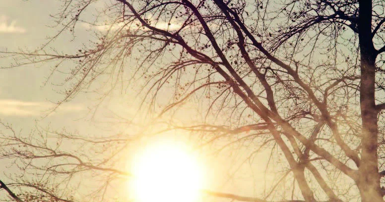 Bakıda yağmursuz, bəzi rayonlarda yağış və qar