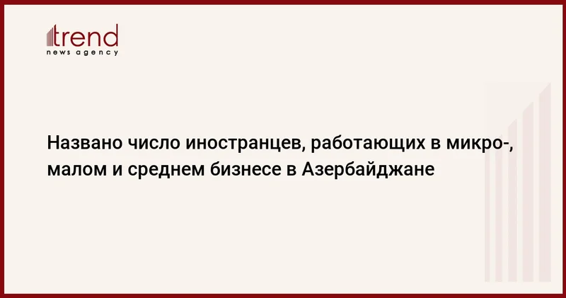 Названо число иностранцев, работающих в микро , малом и среднем бизнесе в Азербайджане
