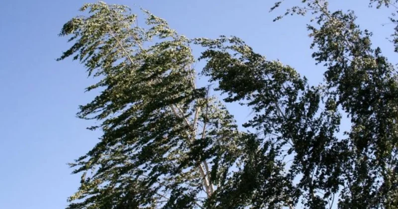 Ölkə ərazisində KÜLƏK GÜCLƏNƏCƏK Xəbərdarlıq