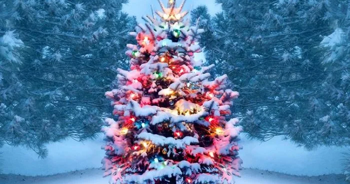 Bu ölkədə Yeni il fevralda olacaq Niyə dəqiq tarixi yoxdur?