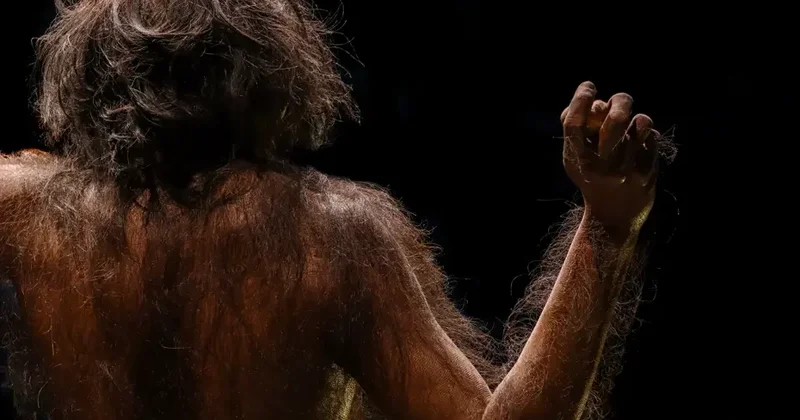 İnsanlığın ən qədim əcdadı tapılmış ola bilər