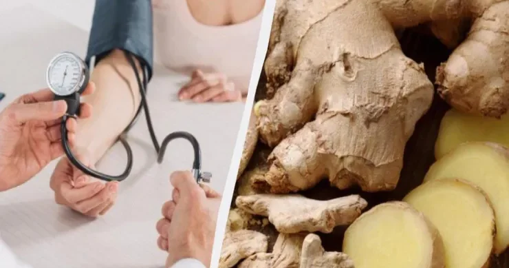 Zəncəfil yüksək təzyiqə kömək edirmi? Dietoloqlar onun bədənə təsirini açıqladı