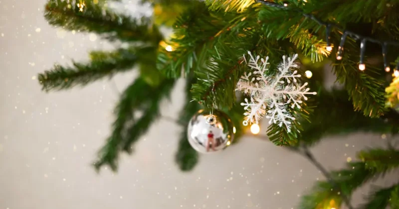 В Казахстане мужчина поджег елку в подъезде собственного дома