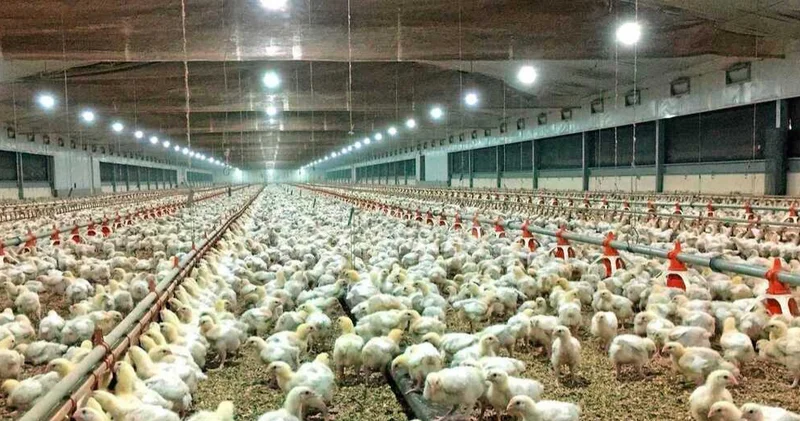 Abşeronda milyonlarla manata olan zavod satışa çıxarıldı MƏBLƏĞ