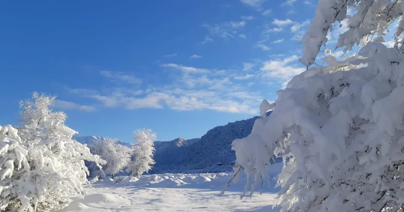 В Баку и регионах ожидается мороз ПРОГНОЗ