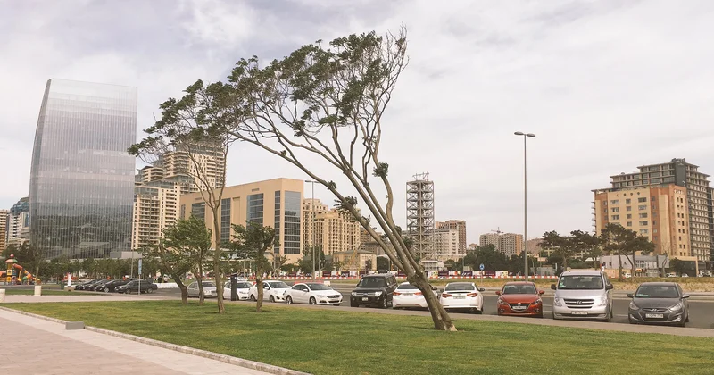 Синоптики спрогнозировали на завтра ветреную погоду