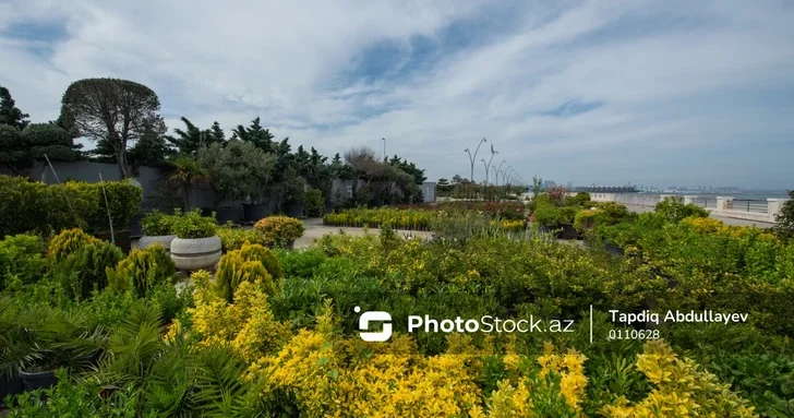 Прогноз на 4 января: Баку встретит день плюсовой температурой, горы суровым морозом