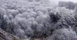 Qədim Azərbaycan kəndində 37 dərəcə şaxta qeydə alınıb