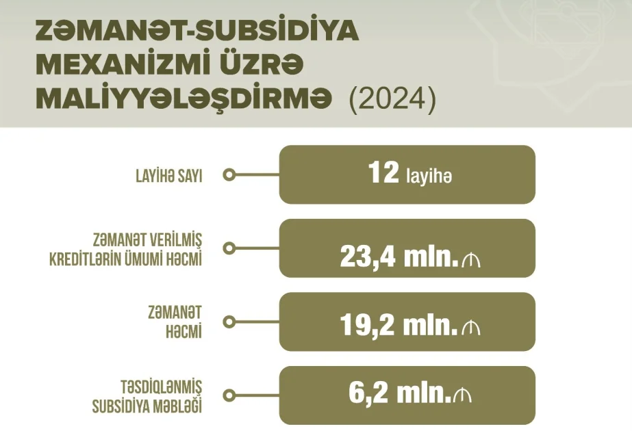 Sahibkarlar dövlətin güzəştli maliyyə mexanizmləri ilə bizneslərini inkişaf etdirirlər