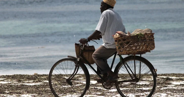 Изменение климата может привести к росту смертности от малярии в Африке