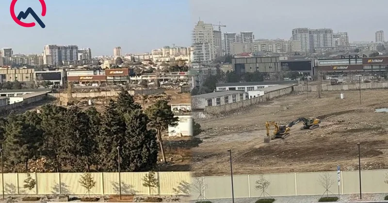 “Ağ Şəhər”də ağacları qıran 2 nəfər saxlanıldı Fotolar