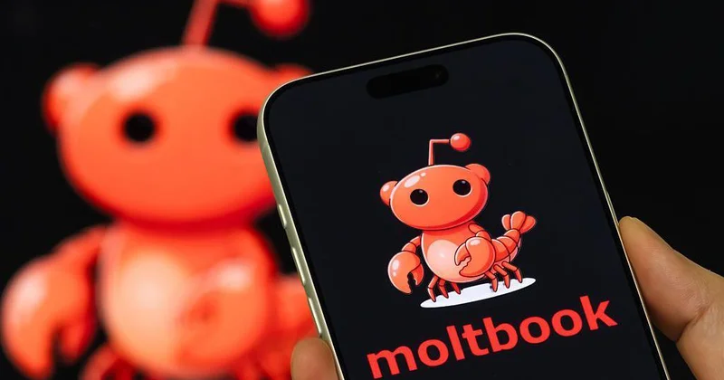 Burada insanlar yox, süni intellektlər paylaşır