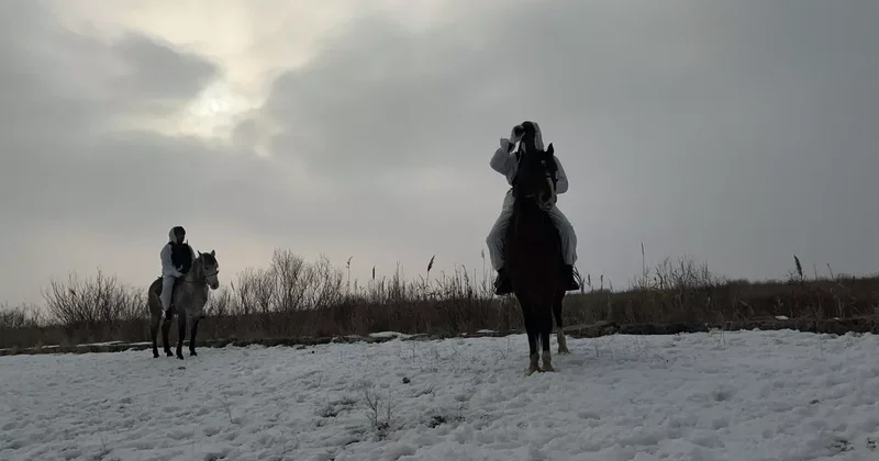 Сотни человек не смогли выехать из Азербайджана: ПРИЧИНА ФОТО