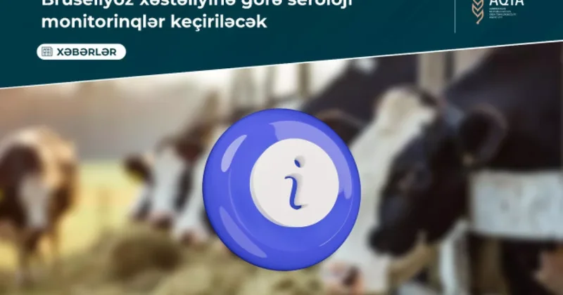 АПБА проверит хозяйства на наличие бруцеллёза