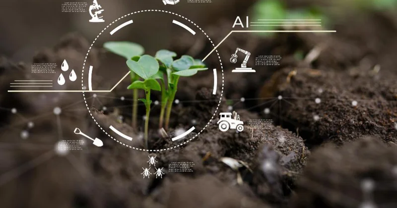 Kənd təsərrüfatında süni zəkadan istifadə olunacaq