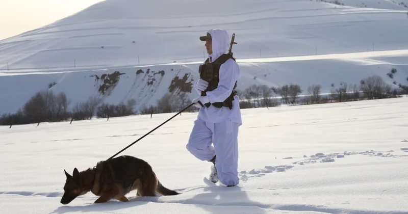 DSX: Xidmət zamanı fövqəladə hal yaranarsa, zəruri koordinasiya tədbirləri həyata keçirilir