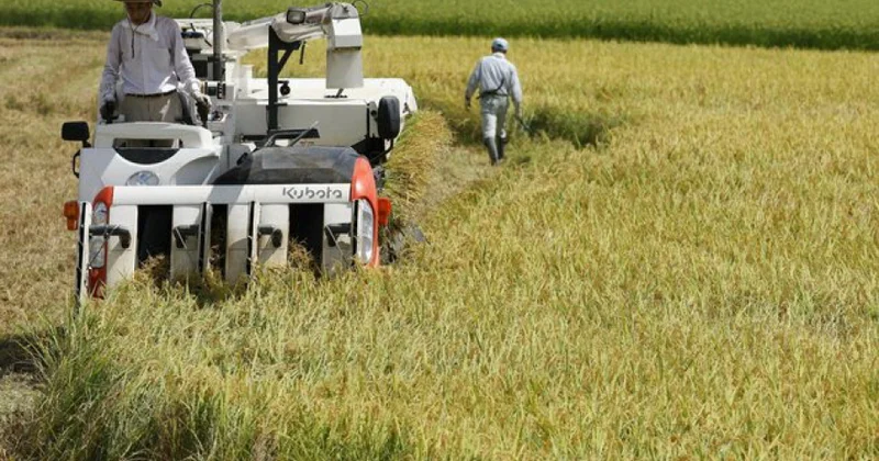 Yaponiyanın kənd təsərrüfatı məhsullarının ixracı rekord həddə çatıb