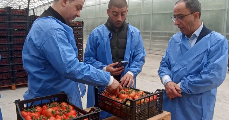 “Azexport” portalı Yaxın Şərq bazarlarına ixrac imkanlarını genişləndirir