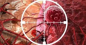 İçmə, çəkmə, stresdən uzaq ol...