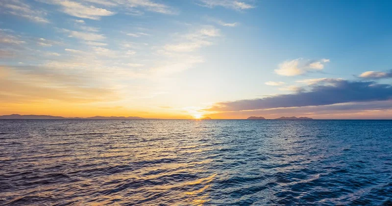 Dünyanın danışdığı qəhrəman Ailəsini xilas etdi