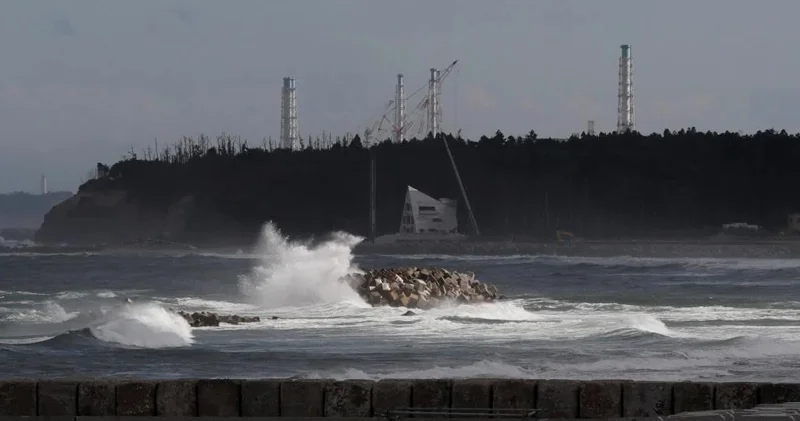 Alimlər Fukuşimanın ölü reaktorlarının altında qəribə həyat formaları tapdı
