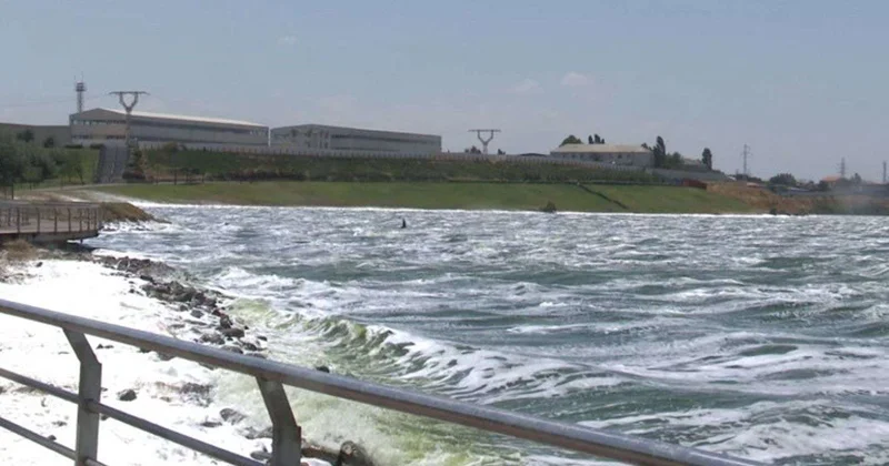 Böyükşor köpüklənir Problem VİDEO