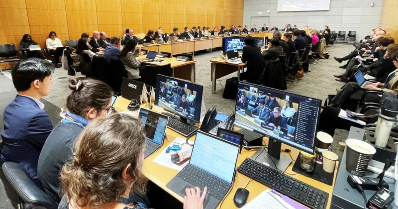 BNF Azərbaycanın sessiyaya sədrliyini yüksək qiymətləndirdi