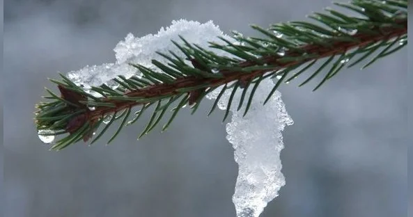 В среду в Баку сильный северо западный ветер, мокрый снег и снег