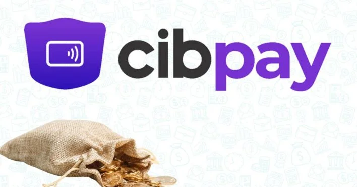 “CibPay” nizamnamə kapitalını artırdığı vəsaiti geri çəkdi