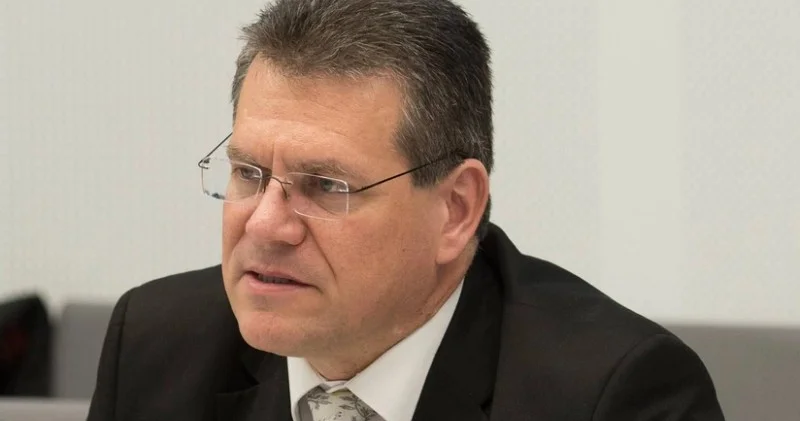 Şefçoviç Epşteynlə hər hansı əlaqəsini TƏKZİB ETDİ